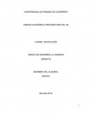 ÍNDICE DE DESARROLLO HUMANO. Los países mejor organizados del mundo