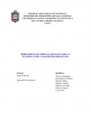 HERRAMIENTAS COMPUTACIONALES PARA LA PLANIFICACIÓN Y GESTIÓN DE PROYECTOS