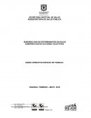 ANEXO OPERATIVO ESPACIO DE TRABAJO