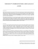 Laboratorio Corrosión - Identificación Ánodo y Cátodo