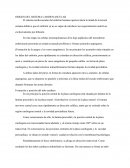 EL ORIGEN DEL SISTEMA CARDIOVASCULAR.