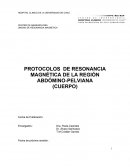 PROTOCOLOS DE RESONANCIA MAGNÉTICA DE LA REGIÓN ABDÓMINO-PELVIANA