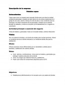 Motivación financiera. Descripción de la empresa Helados copos