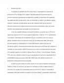 New Heritage Doll Company Evaluación de Proyectos