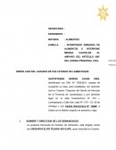 SUMILLA : INTERPONGO DEMANDA DE ALIMENTOS E INTERPONE MEDIDA CAUTELAR AL AMPARO DEL ARTÍCULO 608° DEL CÓDIGO PROCESAL CIVIL..