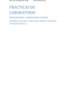 ANALIZA Y FRACCIONA SANGRE CON FINES TRANSFUCIONALES