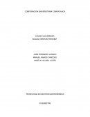 En la galería del barrio Bolivar pudimos observar diferentes técnicas como:.