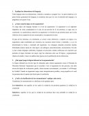 Explique las dimensiones del lenguaje.