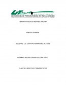 PLAN DE TRATAMIENTO MEDIANTE EJERCICIO TERAPEUTICO.