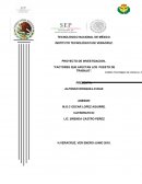 FACTORES QUE AFECTAN LOS PUESTO DE TRABAJO”.