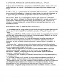 EL APEGO Y EL PERÍODO DE ADAPTACIÓN EN LA ESCUELA INFANTIL