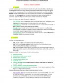 Unión Europea. HISTORIA. DERECHOS E INSTITUCIONES