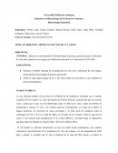 ELABORACION ARTESANAL DE VINO DE UVA NEGRA