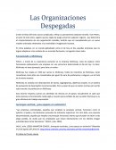 Las Organizaciones Despegadas
