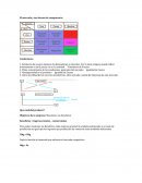 Economia competencia perfecta