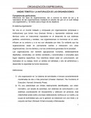 UNIDAD TEMÁTICA I LA NATURALEZA DE LAS ORGANIZACIONES