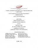 Proyecto responsabilidad social.