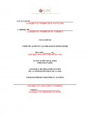 La Evaluacion de proyectos de inversión.