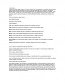 Judy se vuelve famosa