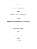 SISTEMA DE INFORMACION GERENCIAL. ADMINISTRACION DE EMPRESAS NOVENO SEMESTRE