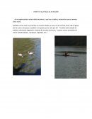 HABITATS ACUATICOS DE MI REGION