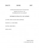 Conspiracion de Valladolid. Informe de practica de lipidos