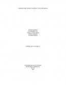 LABORATORIO ONDAS VIAJERAS Y ESTACIONARIAS