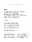 LA ESTADISTICA EN LA COTIDIANIDAD.