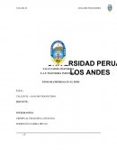 TIPOS DE EMPRESAS EN EL PERU.