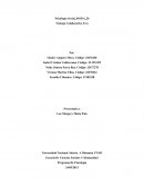 Psicologia social- Trabajo Colaborativo Tres