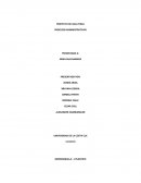 Proyecto procesos administrativos NEW VISION