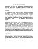 CICLO DE VIDA DE LAS EMPRESA