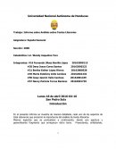 Informe sobre Análisis sobre Textos Literarios