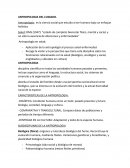 La Antropología: es la ciencia social que estudia al ser humano bajo un enfoque holístico.