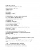 Ejemplo oferta de servicio