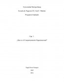 Cap 1 Que es el Comportamiento Organizacional