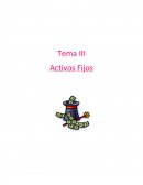 Tema III Activos Fijos