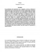 El S fue un sapo; animal vertebrado, acuático y parte de la familia Ranidae.