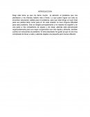 Integradora de español.