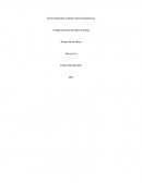 Experiencia Trabajo comunal en Museo de los Niños