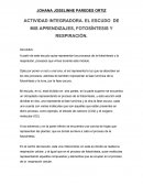 Actividad integradora. El escudo de mis aprendizajes, fotosíntesis y respiración.