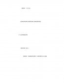 ENSAYO - EMANCIPACIÓN Y MAYORÍA DE EDAD.