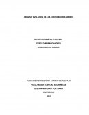 Origen y Evolucion De Los Contenedores Aereos