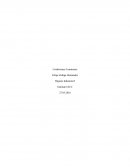 Seleccione un puesto de trabajo, de la empresa donde trabaja, y descríbalo. Explique la importancia de la buena iluminación en el puesto de trabajo elegido por usted y como el uso de los colores, podría afectar la productividad de su empresa.