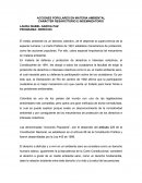 Acciones populares en materia ambiental