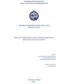 Seminario Profesional para optar al Título de Ingeniero de Ejecución en Control de Gestión”