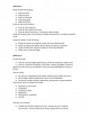 Equipos de trabajo: grupos cuyos miembros trabajan intensamente en un objetivo específico común