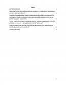 Una organización formal a menudo se considera un sistema de comunicación.