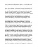 DIFICULTADES QUE TUVO EL ESTADO MEXICANO PARA CONSODILARSE