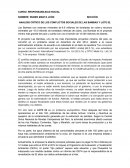 ANALISIS CRÍTICO DE LOS CONFLICTOS SOCIALES DE LAS BAMBAS Y LOTE 92.